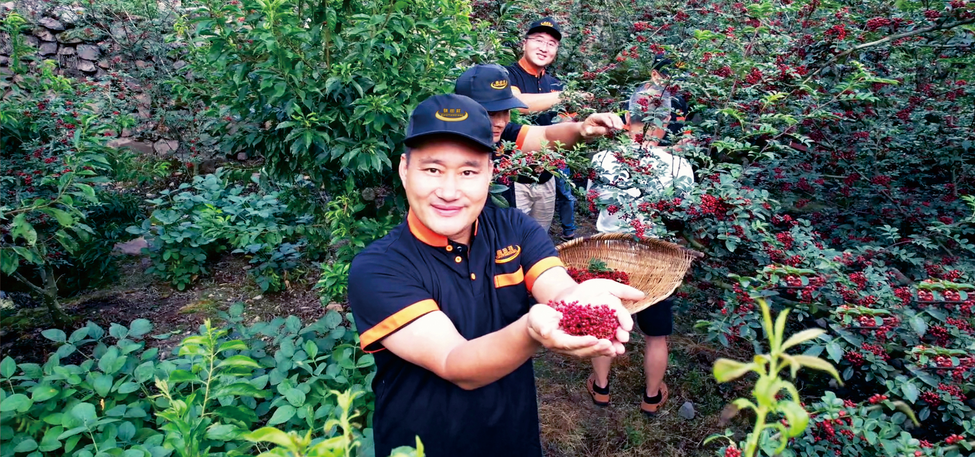 itb8888通博